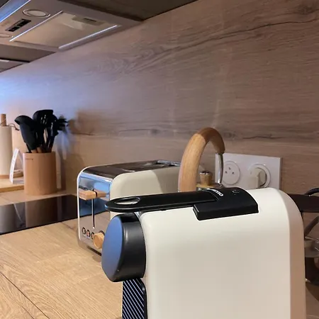 公寓 Cosy Terrasse 6 Pers Ax Thermes Centre Parking